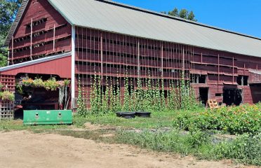 The Garlic Farm