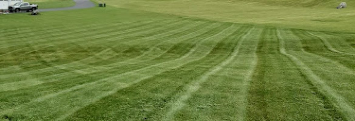 Mawdsley’s Landscaping LLC
