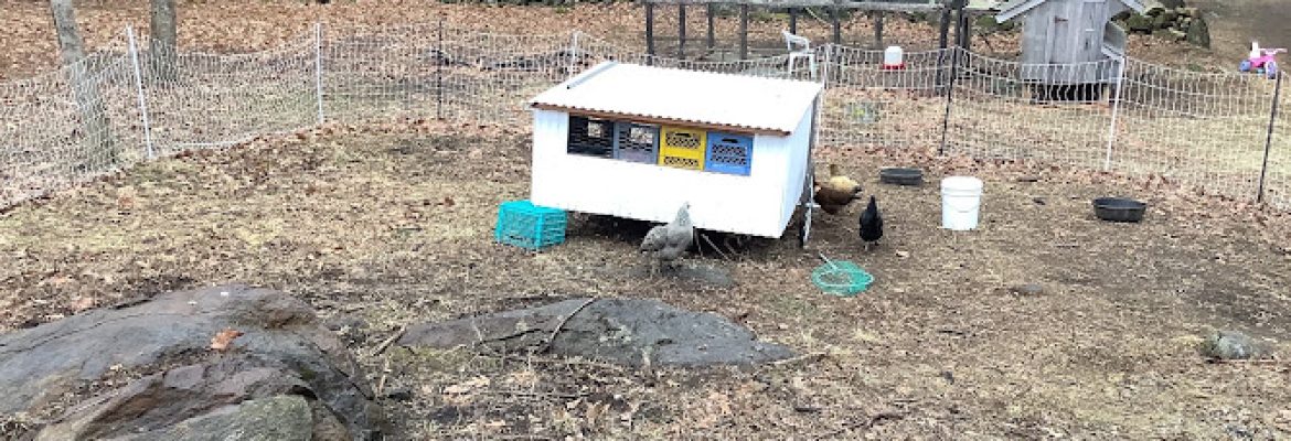 Stone Hollow Farm LLC