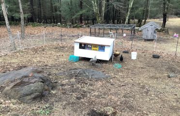 Stone Hollow Farm LLC