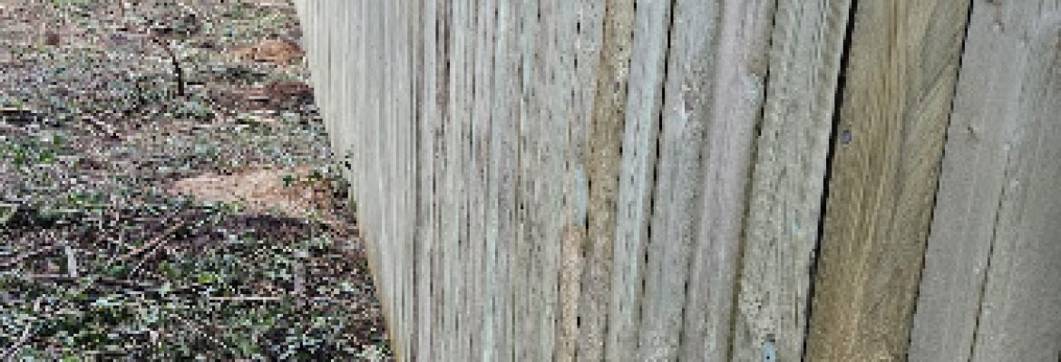 Sergio Landscaping LLC