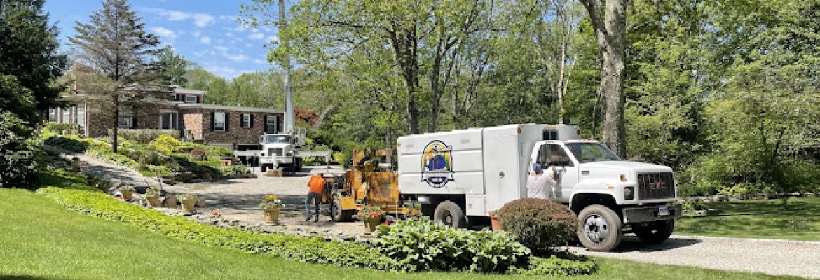 Housatonic Valley Tree Company