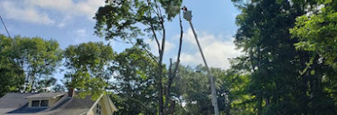 Red’s Tree Service LLC