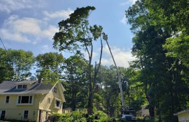 Red’s Tree Service LLC