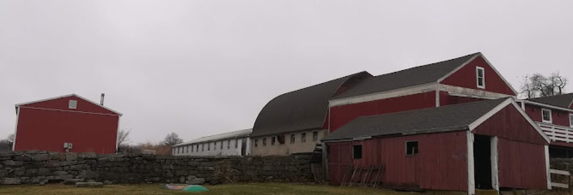 Farmers Market at Tiffany Farms