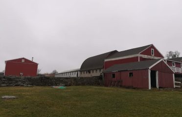 Farmers Market at Tiffany Farms