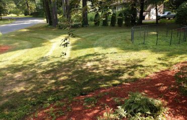 Perfect Lawns