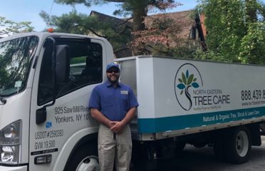 North Eastern Tree , Shrub and Lawn care
