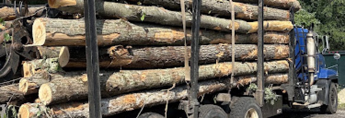 Lenahan Land Clearing & Grinding Inc.