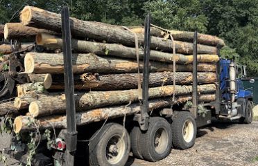 Lenahan Land Clearing & Grinding Inc.