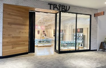 Tribu Piercings Norwalk