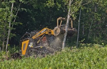 Brush Tough Forestry Mulching & Land Clearing LLC