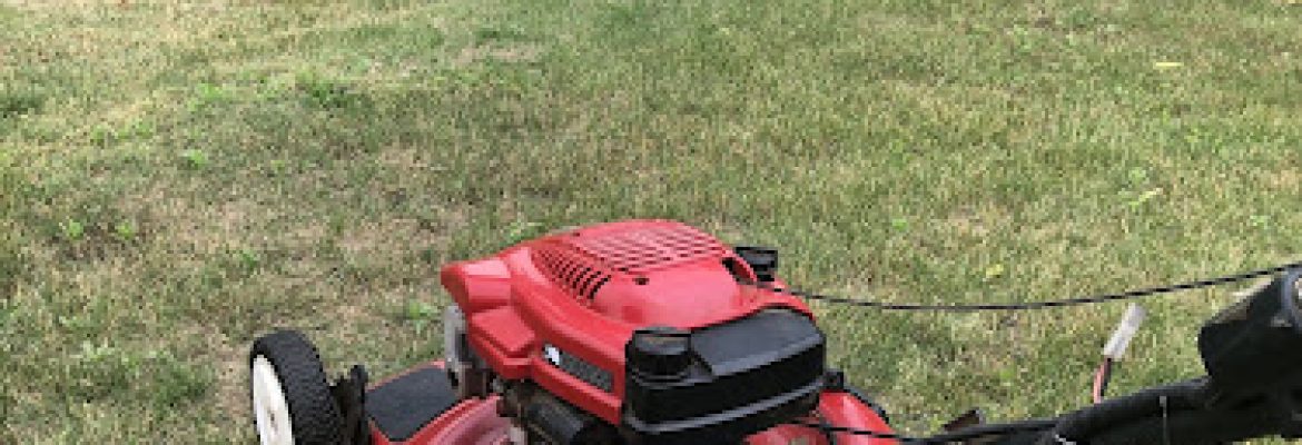 B&G Small Engine