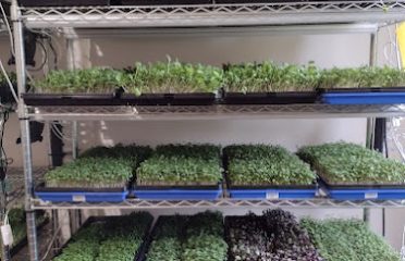 Healthy Eats Farm