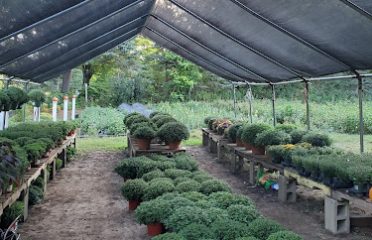 Ryan Family Flower Farm