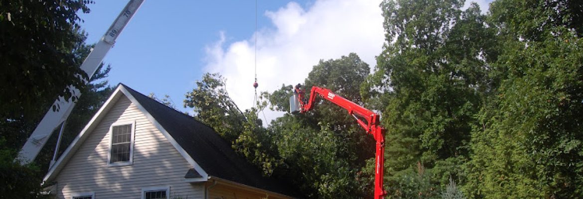 New England Arborist Tree Care, LLC