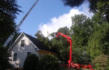 New England Arborist Tree Care, LLC