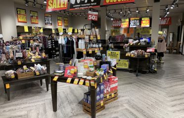 francesca’s