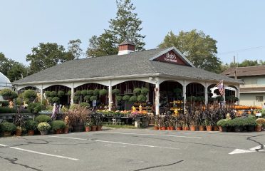 Meadow Wind Farm Market