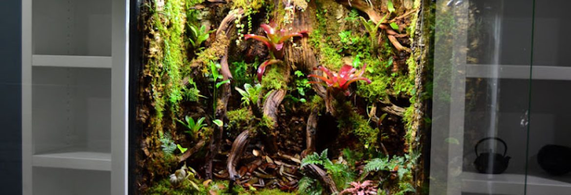 NEHERP / New England Herpetoculture LLC