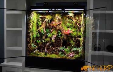 NEHERP / New England Herpetoculture LLC