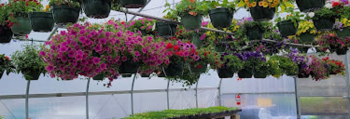 Gray House Farms Garden Center