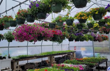 Gray House Farms Garden Center