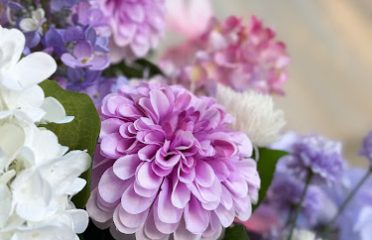 The Silver Dahlia