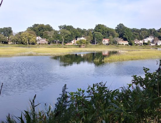 Ash Creek/Riverside Drive Open Space