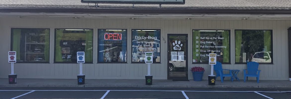Dirty Dog DIY Pet Wash & Pawstry Shop llc