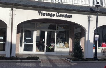 Vintage Garden