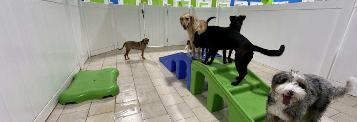 Hounds Town – Hartford