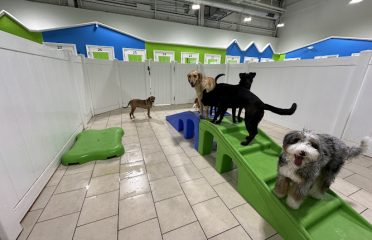 Hounds Town – Hartford