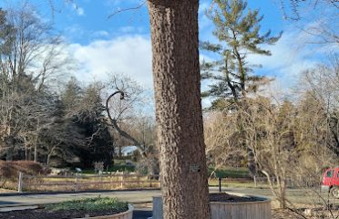 Bartlett Arboretum & Gardens