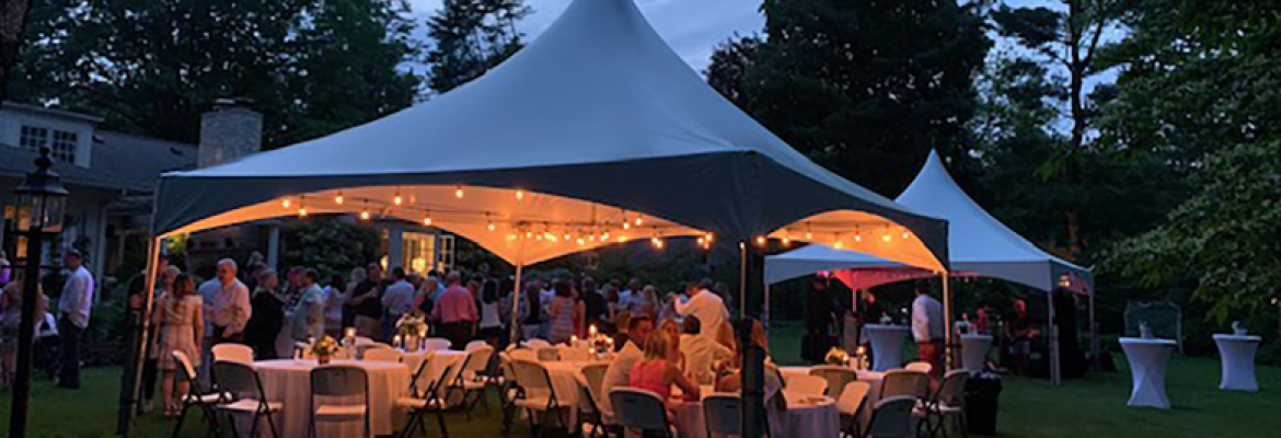 Professional Party Rental