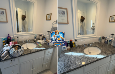 Josie Ferreira Cleaning Services