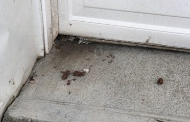 Connecticut Termite and Pest Control, LLC