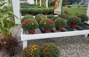 Colonial Flower Shoppe