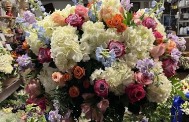 Roma Florist