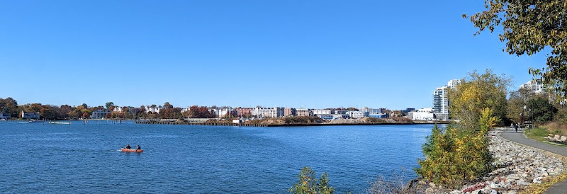Kosciuszko Park