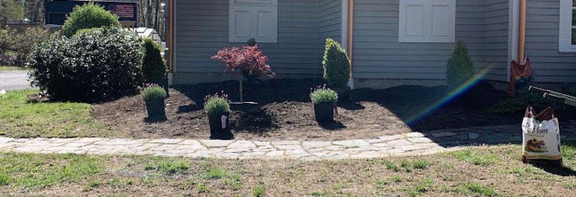 Grass Roots Inc