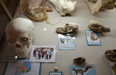 Peoples State Forest Nature Museum