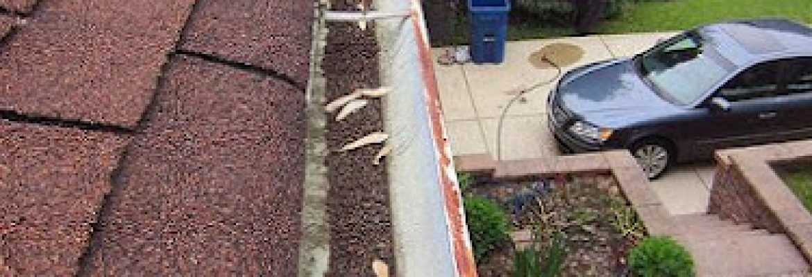 Ned Stevens Gutter Cleaning
