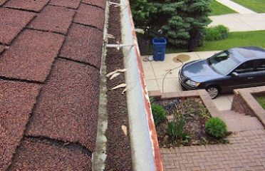 Ned Stevens Gutter Cleaning