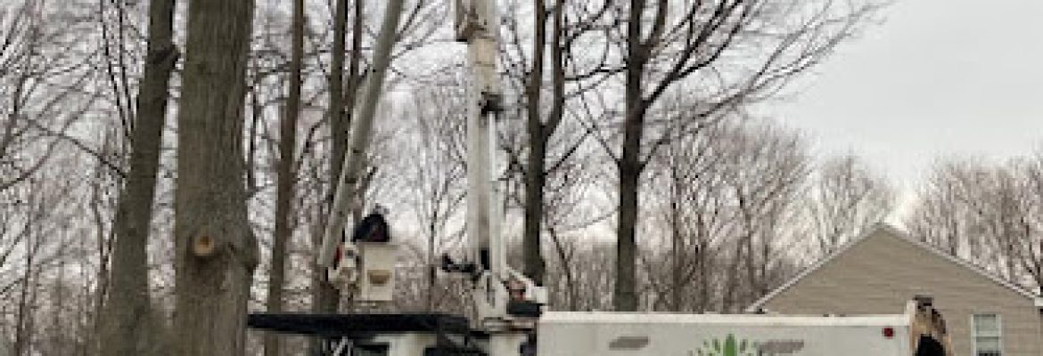 Parham Tree & Home Services