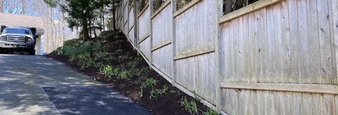 Sullivan & Son Landscaping Management