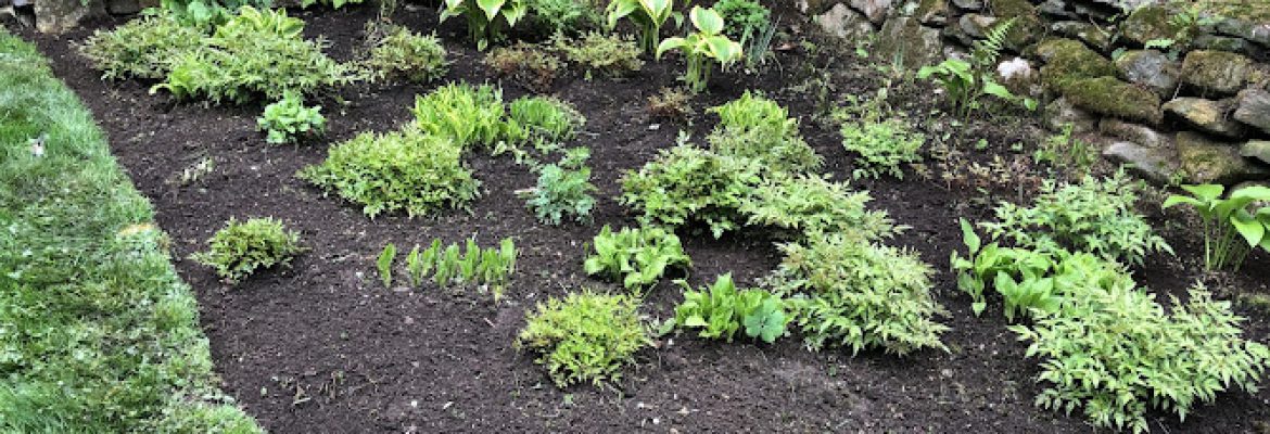 Aguilar Landscaping