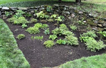 Aguilar Landscaping