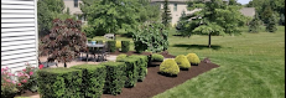 All 4 Seasons Landscaping