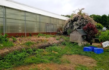 River Crest Farm